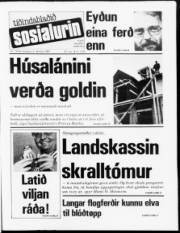 Síða 1