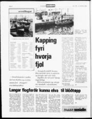 Síða 4