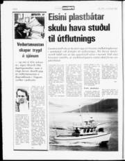 Síða 8