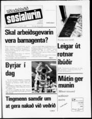 Síða 1