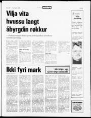 Síða 3