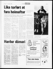 Síða 11
