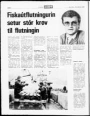 Síða 8