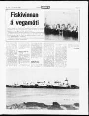 Síða 13