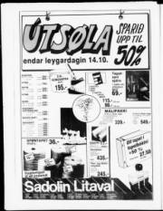 Síða 20