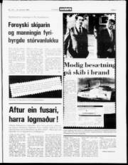 Síða 3