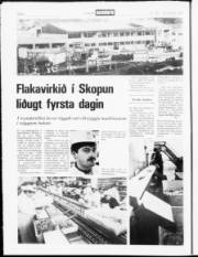 Síða 6