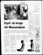 Síða 8