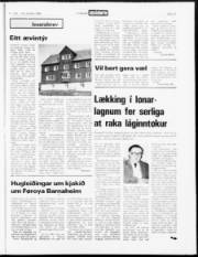 Síða 15