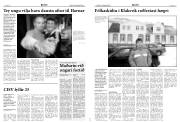 Síða 5