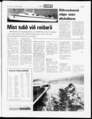 Síða 5