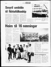 Síða 6