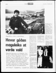 Síða 8