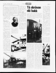 Síða 13