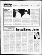 Síða 2