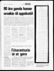 Síða 3