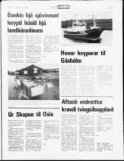 Síða 5