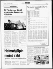 Síða 11