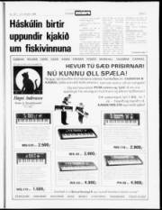 Síða 17