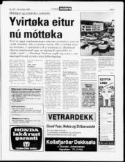 Síða 3