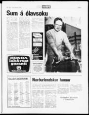 Síða 5