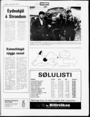 Síða 21