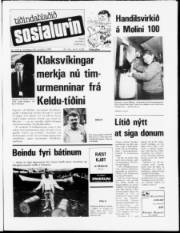 Síða 1