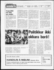 Síða 2