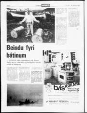 Síða 6