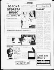 Síða 17