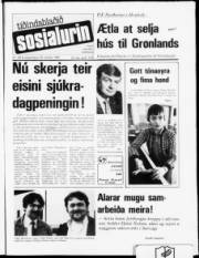 Síða 1