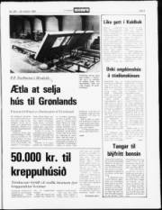 Síða 3