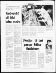 Síða 6