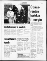 Síða 7