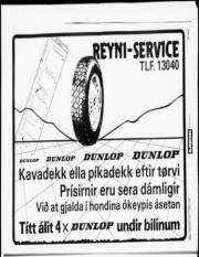 Síða 19