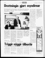 Síða 6