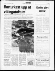 Síða 7