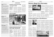 Síða 6