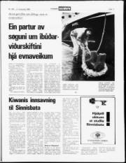 Síða 11