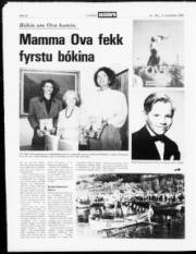 Síða 12