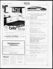 Síða 19