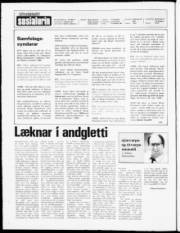 Síða 2