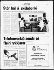 Síða 3