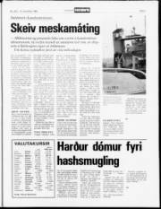 Síða 5