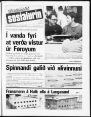 Síða 1