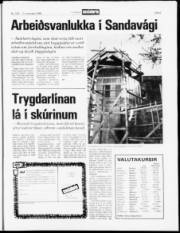 Síða 5