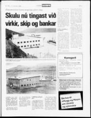 Síða 7