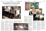 Síða 12