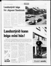 Síða 3
