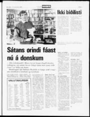 Síða 5